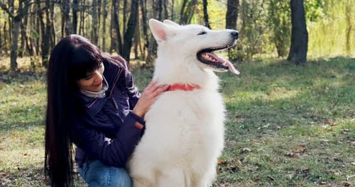 Happy Female Cheerfully Playing and Sitting with Dog in the Autumn Park. Love and Friendship