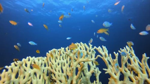 Underwater Surface Blue Sea Water