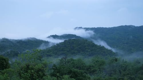 Wunderschöner Nebel des Regenwaldberges.