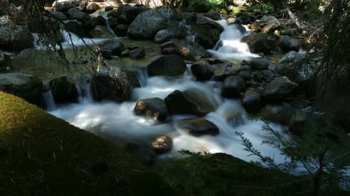 River In Pirin Mountain In Bulgaria