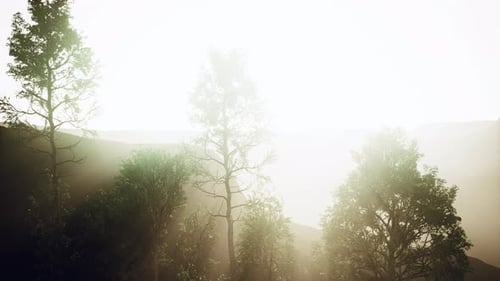 Paysage pittoresque avec des falaises abruptes et des arbres pendant une journée ensoleillée