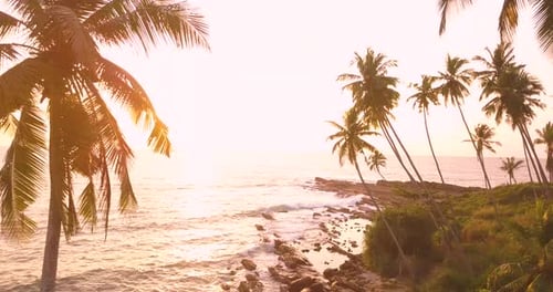 Romantischer Sonnenuntergang an einem tropischen Strand mit Palmen