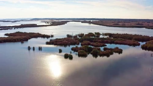 Scenic Wetlands Landscape Aerial View