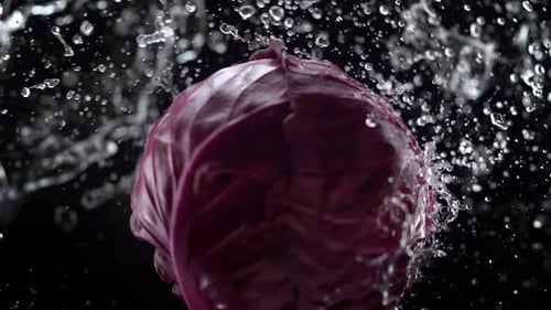 Die Kamera verfolgt Wasserspritzer auf einem ganzen Rotkohl. Zeitlupe.