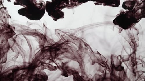 Schwarze Tinte zerstreut sich in Wasser auf weißem Hintergrund