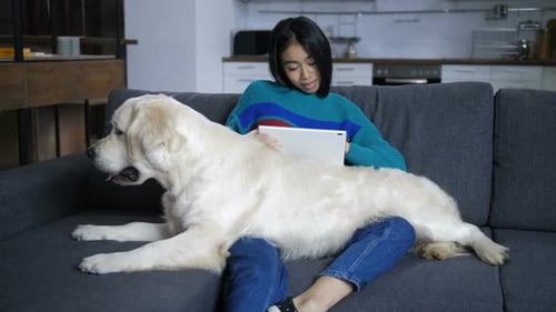 Woman Pets Golden Retriever Lying on Her Lap