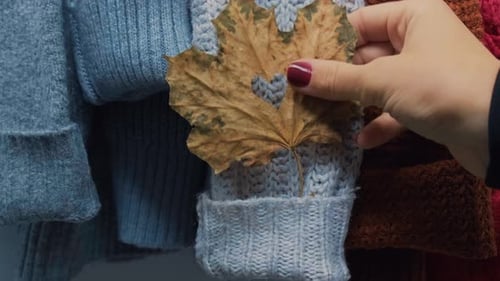 Herbst-Konzept