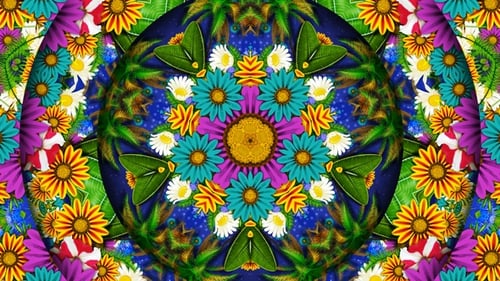 Tropische Pflanzen Kaleidoskop