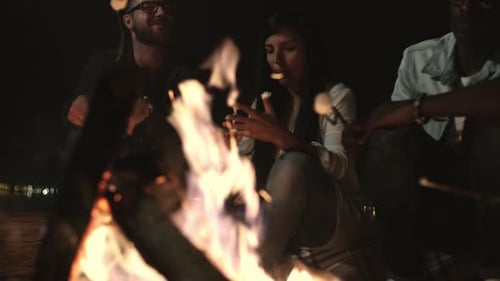 Friends Roasting Marshmallows at Campfire at Night