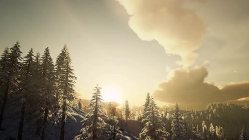 Winterlandschaft bei Sonnenuntergang