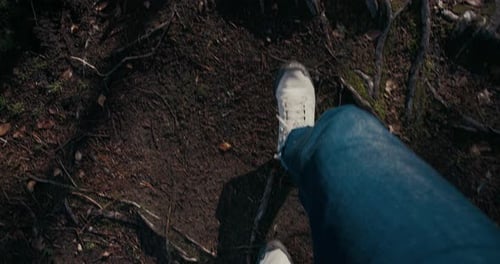 POV on Adventure Boots or Shoes on Forest Trail