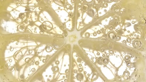 Close-up of Citrus Slice with Effervescent Bubbles