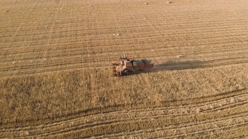 Aerial View Combine Harvester Gathers the Wheat Crop. Wheat Harvesting Shears. Combines in the Field