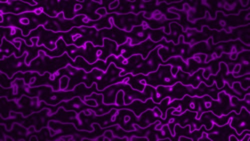 Purple Topographic Lines Loop Background
