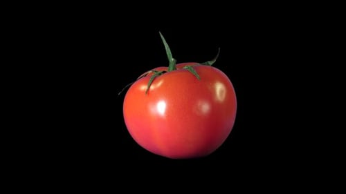 Red Tomato Rotating on Black Background