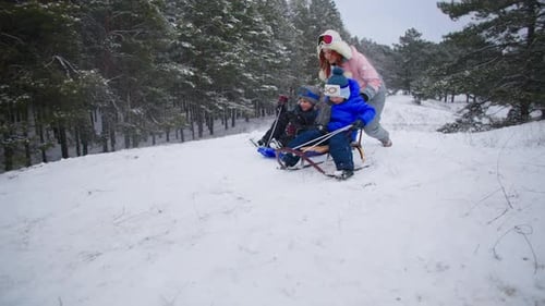Family in Winter Forest Mother with Smiling Children Enjoy Sledding and Snow During Active Holidays