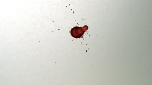 Red Liquid Spreading on White Surface