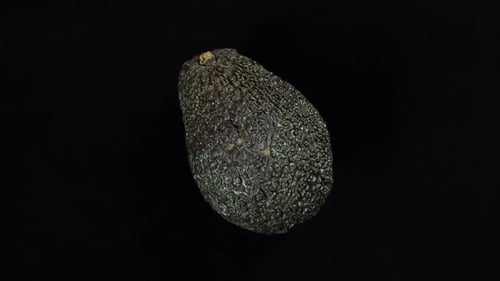 Close Up of Green Avocado Against Black Background