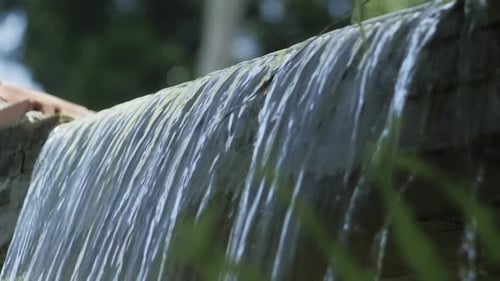 Water Drops