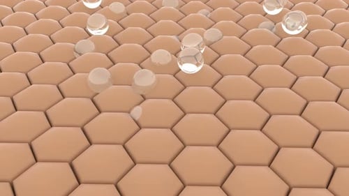3D Animation of Liquid Drops on a Cellular Hexagonal Surface