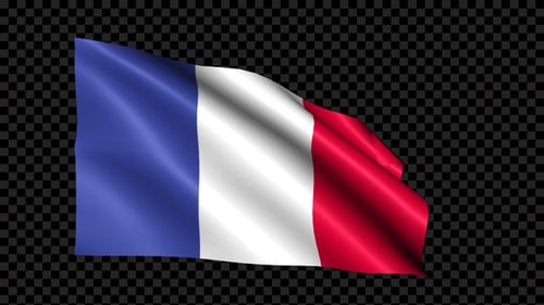 Seamless Loop Animated French Flag Waving