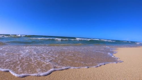 Tropischer Strand
