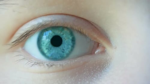 Close-up Macro Shot of Female Human Blue Green Eye