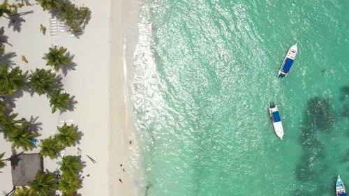 Aerial View on Tropical Island with Coconut Palm Trees and Turquoise Caribbean Sea