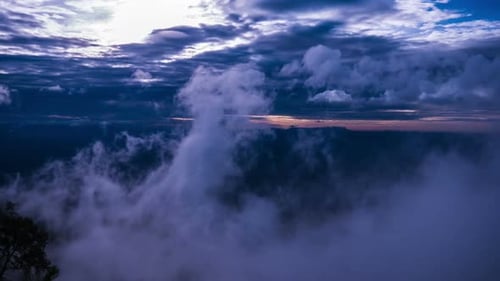 Fog Sky