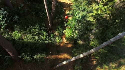 Man jogging on forest path