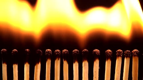 Matches Igniting in a Row in a Chain Reaction