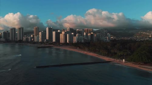 Aerial drone footage of Honolulu, Hawaii.
Beautiful real estate, buildings in the city.
Palm trees