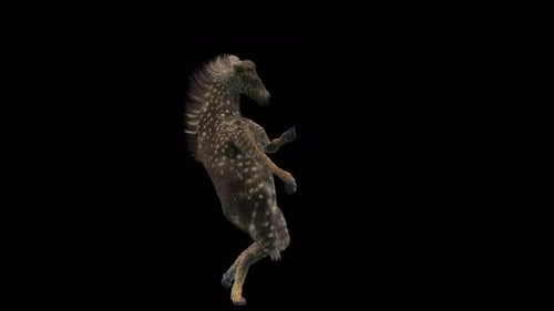 Animated Fawn Dancing on Hind Legs Seamless Loop