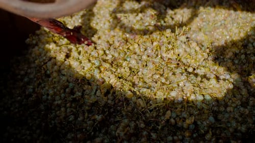 Farmer mixes organic grapes
