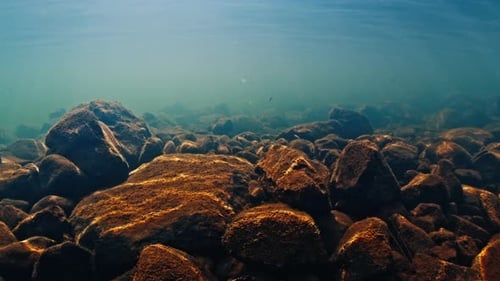 Unterwasseransicht des sauberen Flusses mit felsigem Boden, der in den brasilianischen Bergen fließt