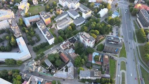 Vogelaugen im Bezirk