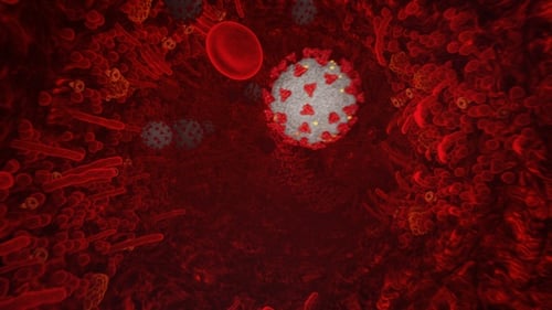 3D Animation of Coronavirus Attacking Red Blood Cells in a Bloodstream