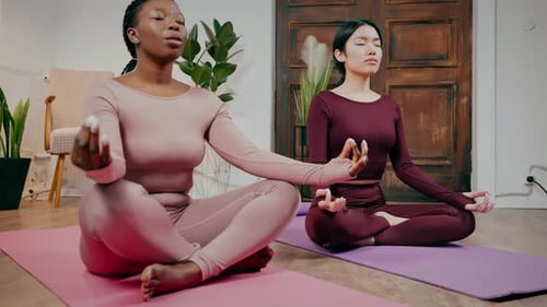 Close Up of Two Peaceful Multiethnic Sportswomen Meditating Together at Home Sitting in Lotus
