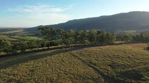 Rural landscape aerial view. Nature scenery