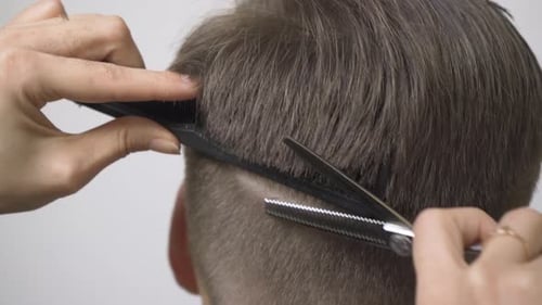 Thinning hair on the back of the head with thinning scissors close-up.