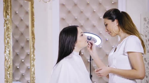 Makeup Artist Applying Cosmetics in a Glamorous Setting