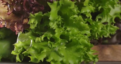 Salad on the Table