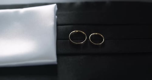 Wedding Rings and Pocket Square Close Up