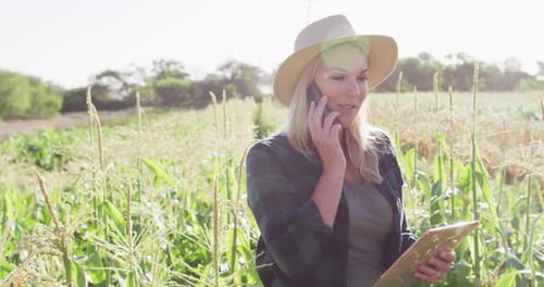 Video of happy caucasian woman using tablet and smartphone in field on sunny day
