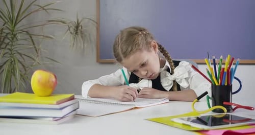Girl Studying at School Desk