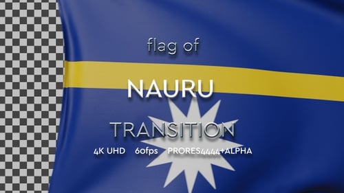 Realistic Waving Flag Reveal Animation