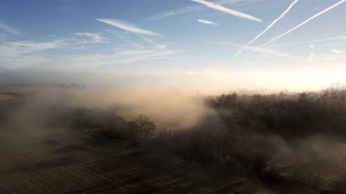 Misty Golden Field at Sunrise Aerial