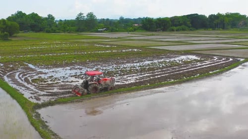 Luftaufnahme des Reiswagens eines Traktors, der auf dem Wasser arbeitet, um Reisfelder, Erntefelder anzubauen und zu ernten