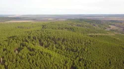 Natur & Wald