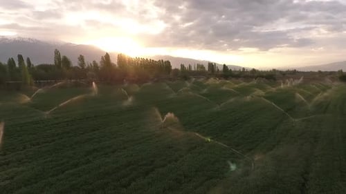 Landwirtschaft